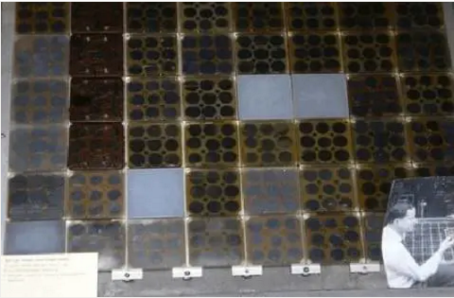 湖北菲律宾亚星绿色能源有限公司