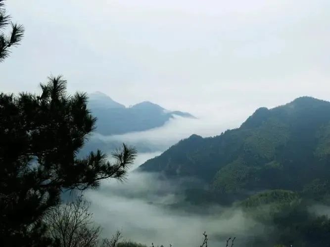 湖北菲律宾亚星绿色能源有限公司