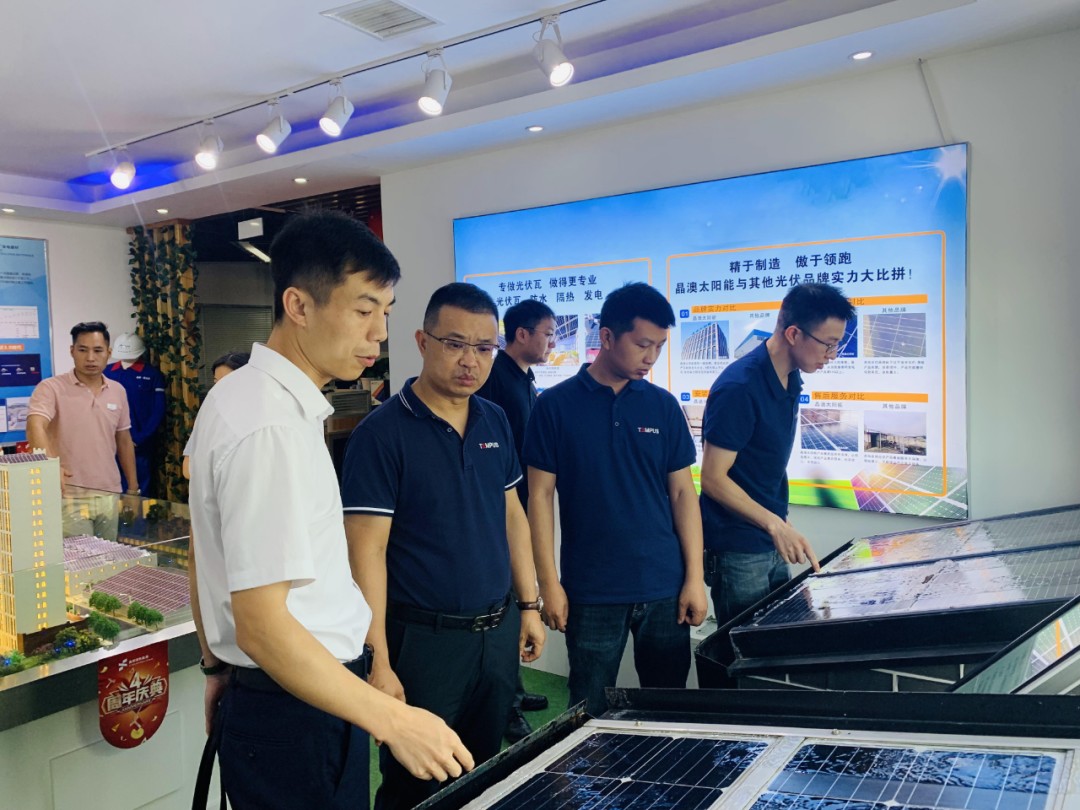 湖北菲律宾亚星绿色能源有限公司