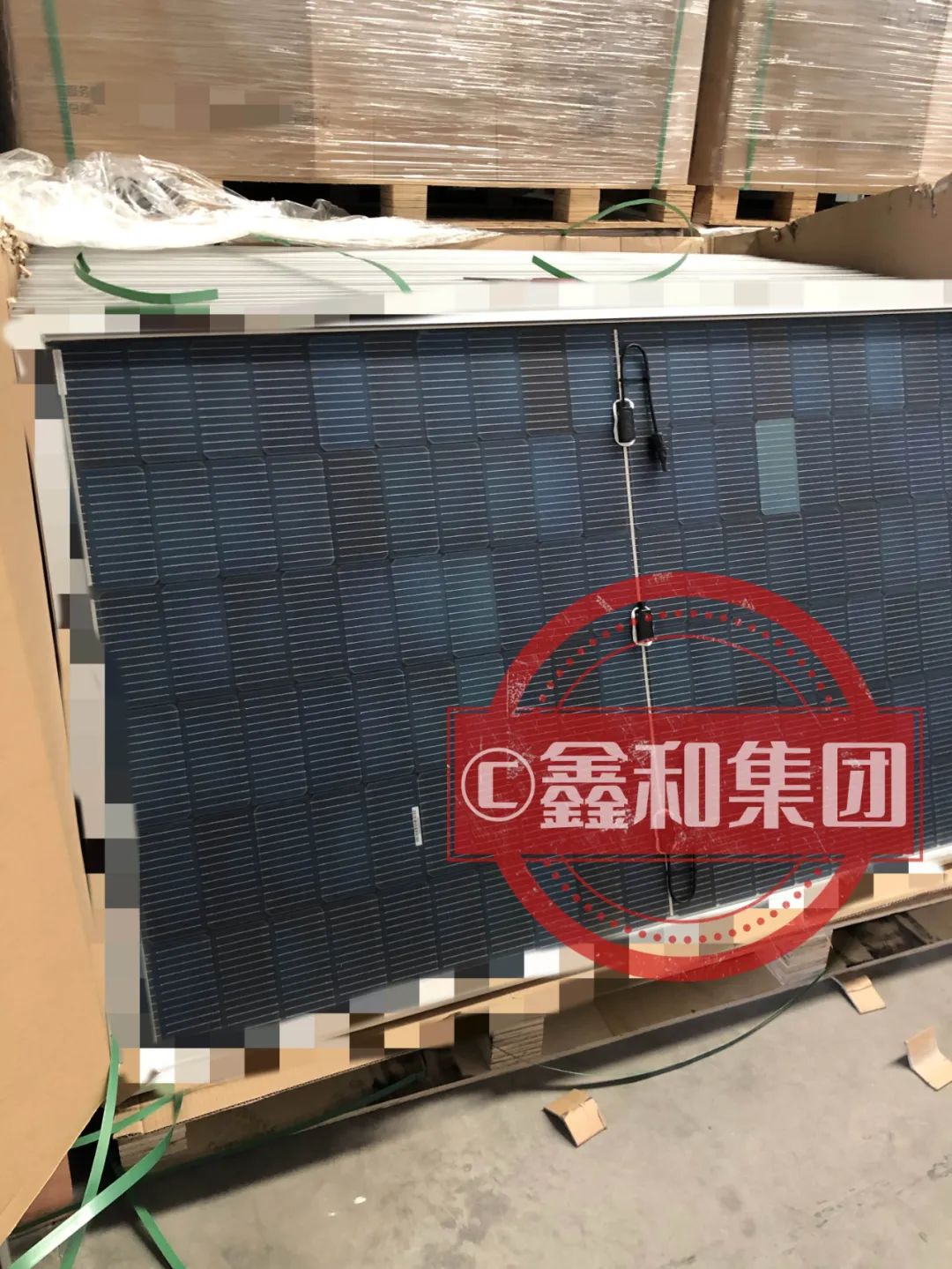 湖北菲律宾亚星绿色能源有限公司